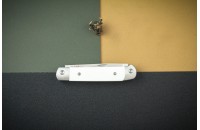 Нож складной Lord N690 G10 белые 