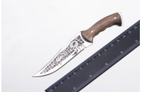 Нож Скорпион сувенирный AUS-8 