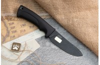 Енот чёрный 