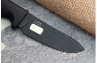 Енот чёрный 