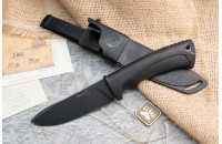 Енот чёрный 