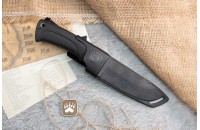 Енот чёрный 