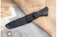 Енот чёрный 