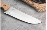 Нож Степной AUS-8 дерево 