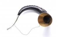 Рог тура - мельхиор 